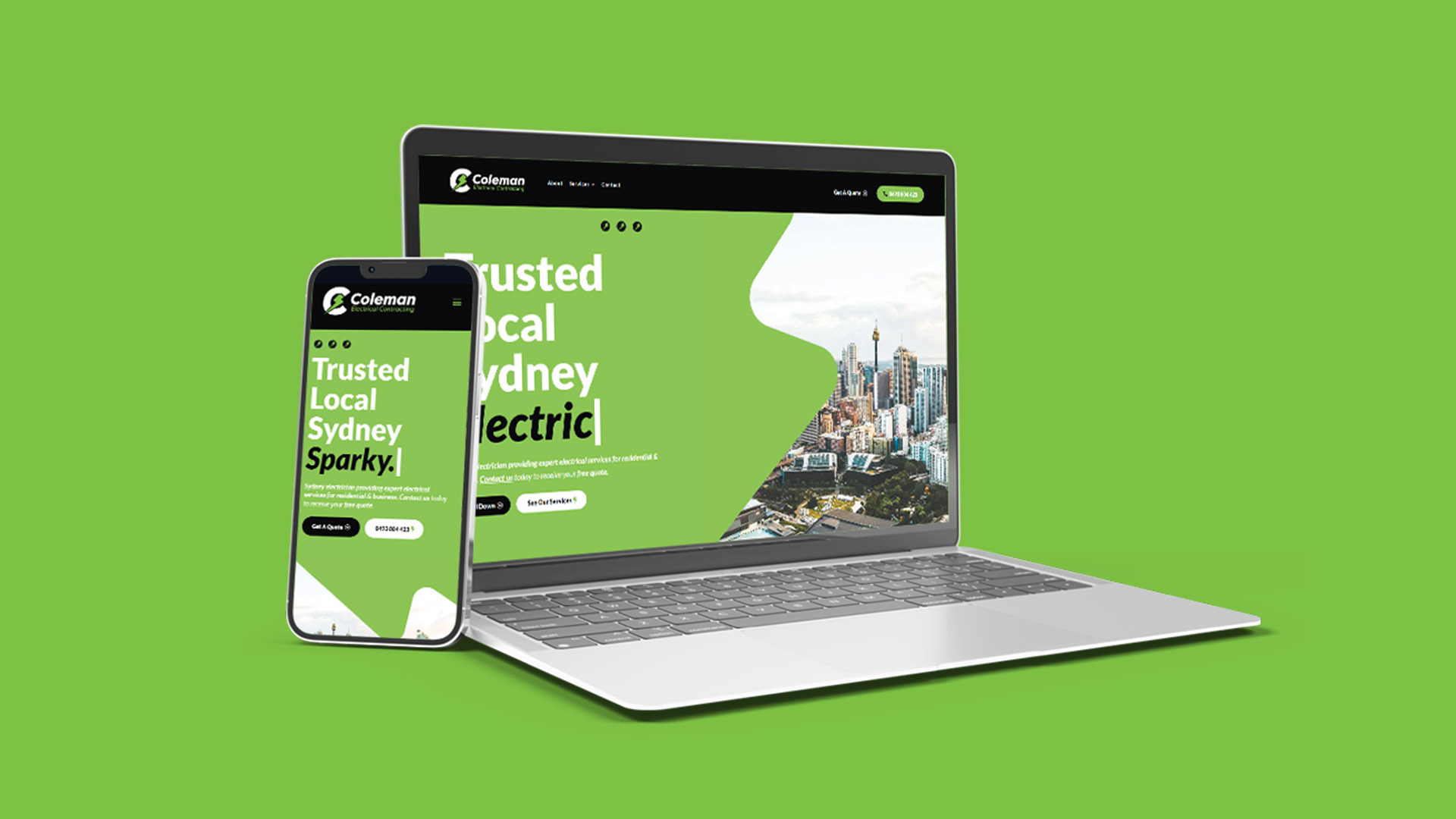 Portfolio Landscape 2Coleman Elec