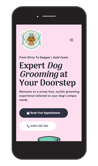 Portfolio Mobile 1 Dapper