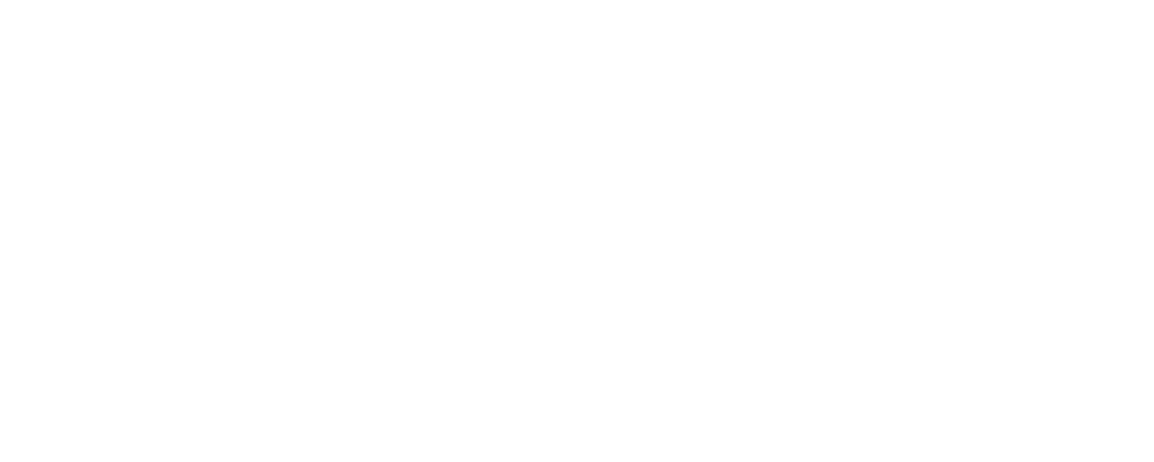 Stoked logo white